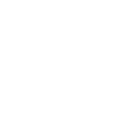 The BEST