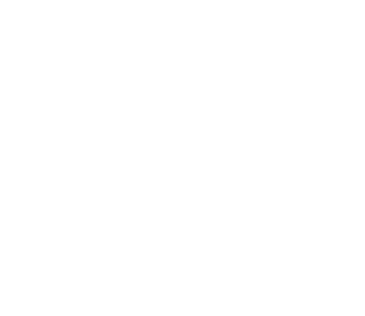 EXPERIENCES